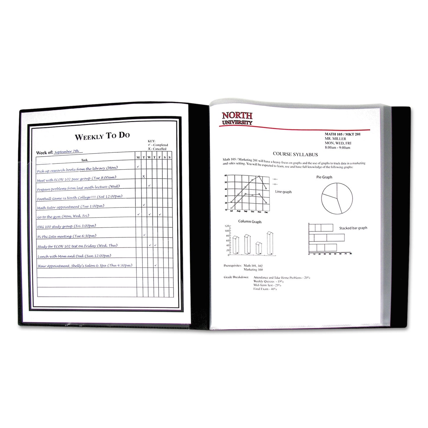 C-Line Bound Sheet Protector Presentation Book, 12 Letter-Size Sleeves, Black (33120)