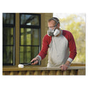 3M Half Facepiece Paint Spray/Pesticide Respirator, Large (6311PA1A)