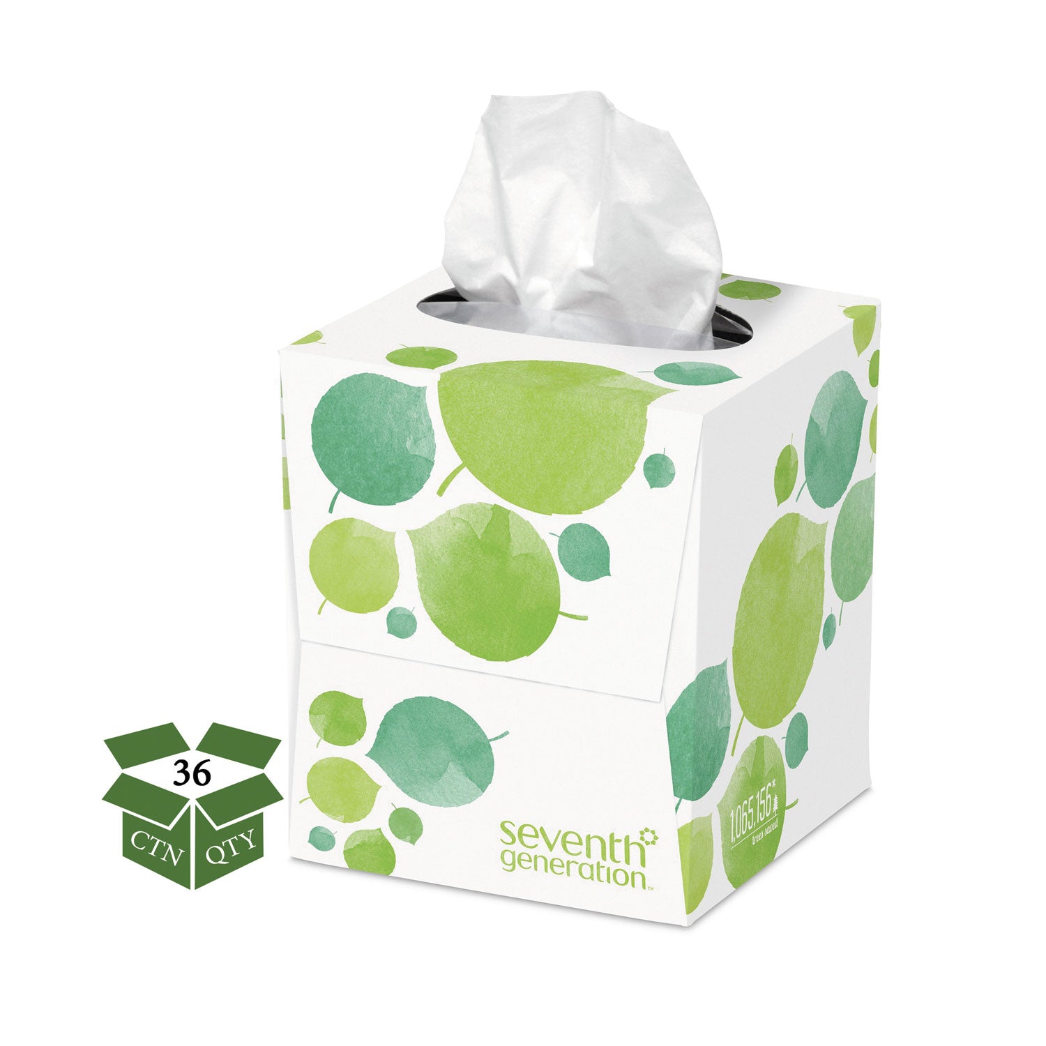 Seventh Generation 100% Recycled Facial Tissue, 2-Ply, 85 Sheets/Box, 36 Boxes/Carton (13719CT)