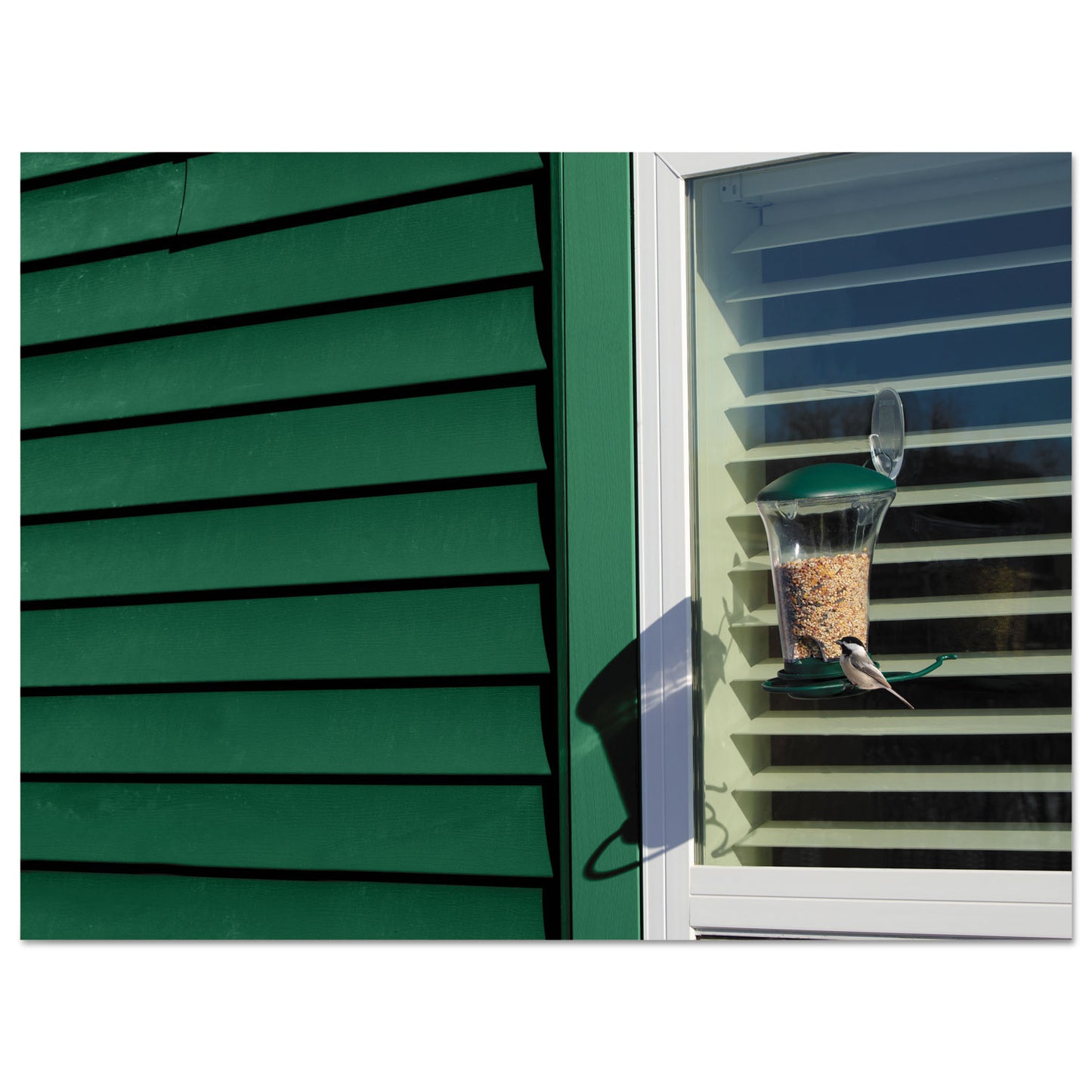 Command All Weather Hooks and Strips, Large, Plastic, Clear, 4 lb Capacity, 1 Hook and 2 Strips/Pack (17093CLRAWES)