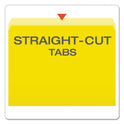 Pendaflex Colored File Folders, Straight Tabs, Letter Size, Yellow/Light Yellow, 100/Box (152YEL)