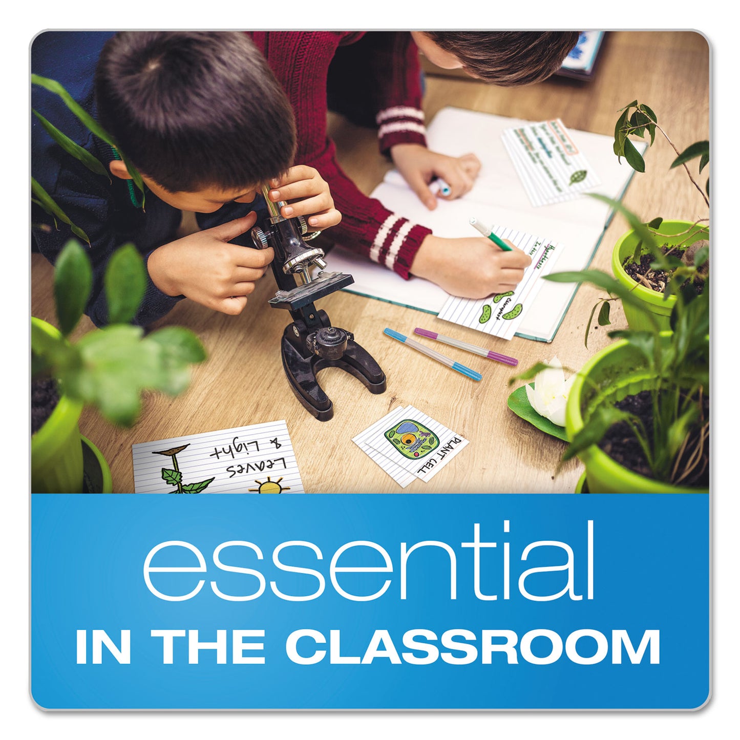 Oxford Ruled Mini Index Cards, 3 x 2.5, White, 200/Pack (10009)