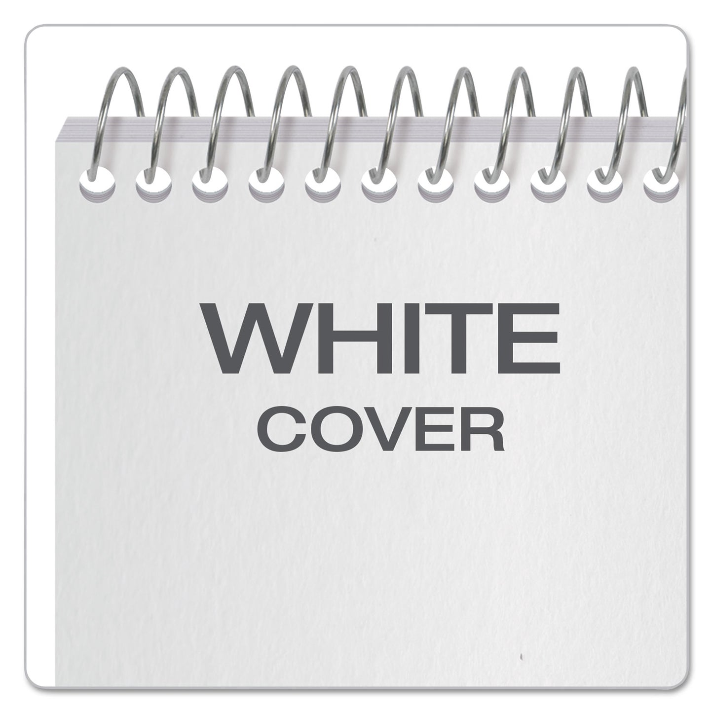 Earthwise by Ampad Recycled Reporter's Notepad, Gregg Rule, White Cover, 70 White 4 x 8 Sheets (25280)