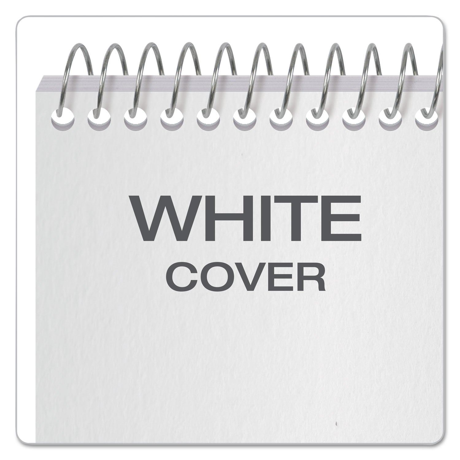 Earthwise by Ampad Recycled Reporter's Notepad, Gregg Rule, White Cover, 70 White 4 x 8 Sheets (25280)
