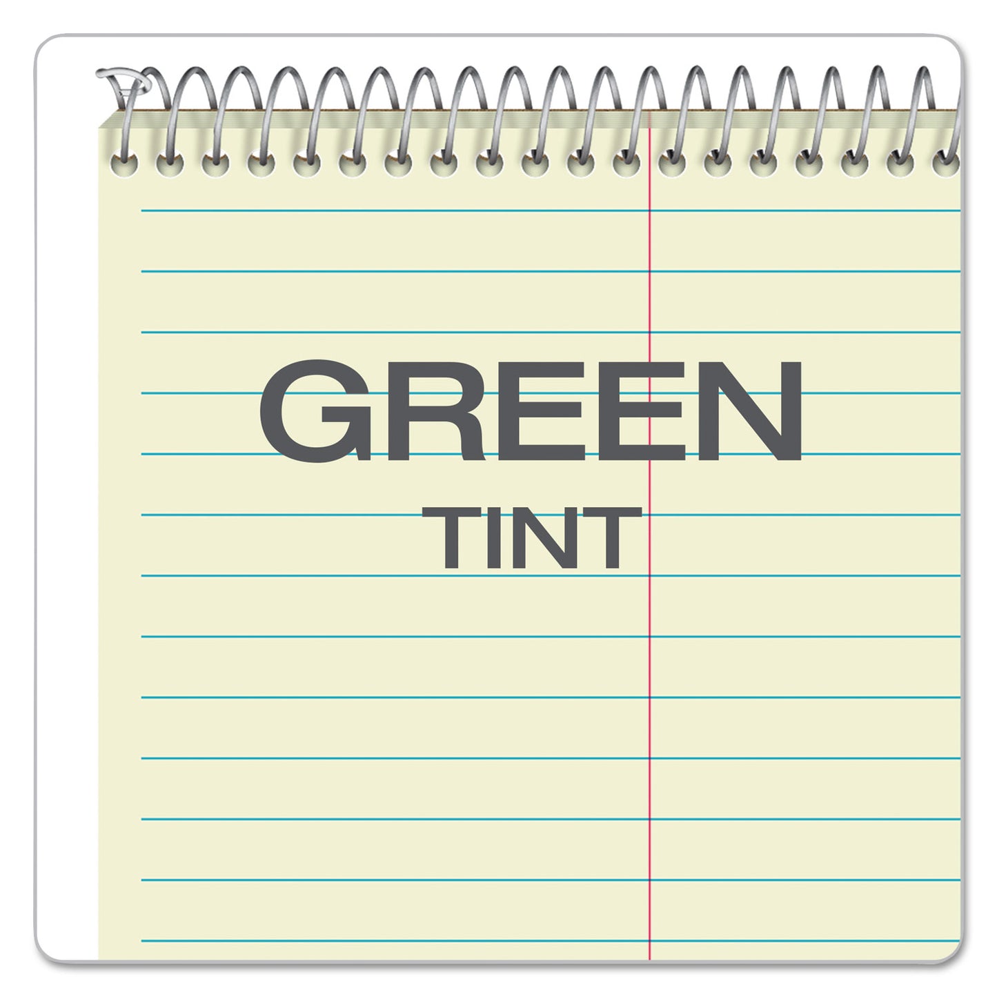 Ampad Steno Pads, Gregg Rule, Tan Cover, 80 Green-Tint 6 x 9 Sheets (25274)