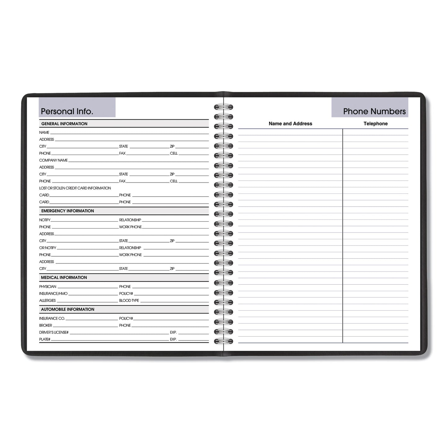 AT-A-GLANCE DayMinder Monthly Planner with Notes Column, Ruled Blocks, 8.75 x 7, Black Cover, 12-Month (Jan to Dec): 2025 (G40000)