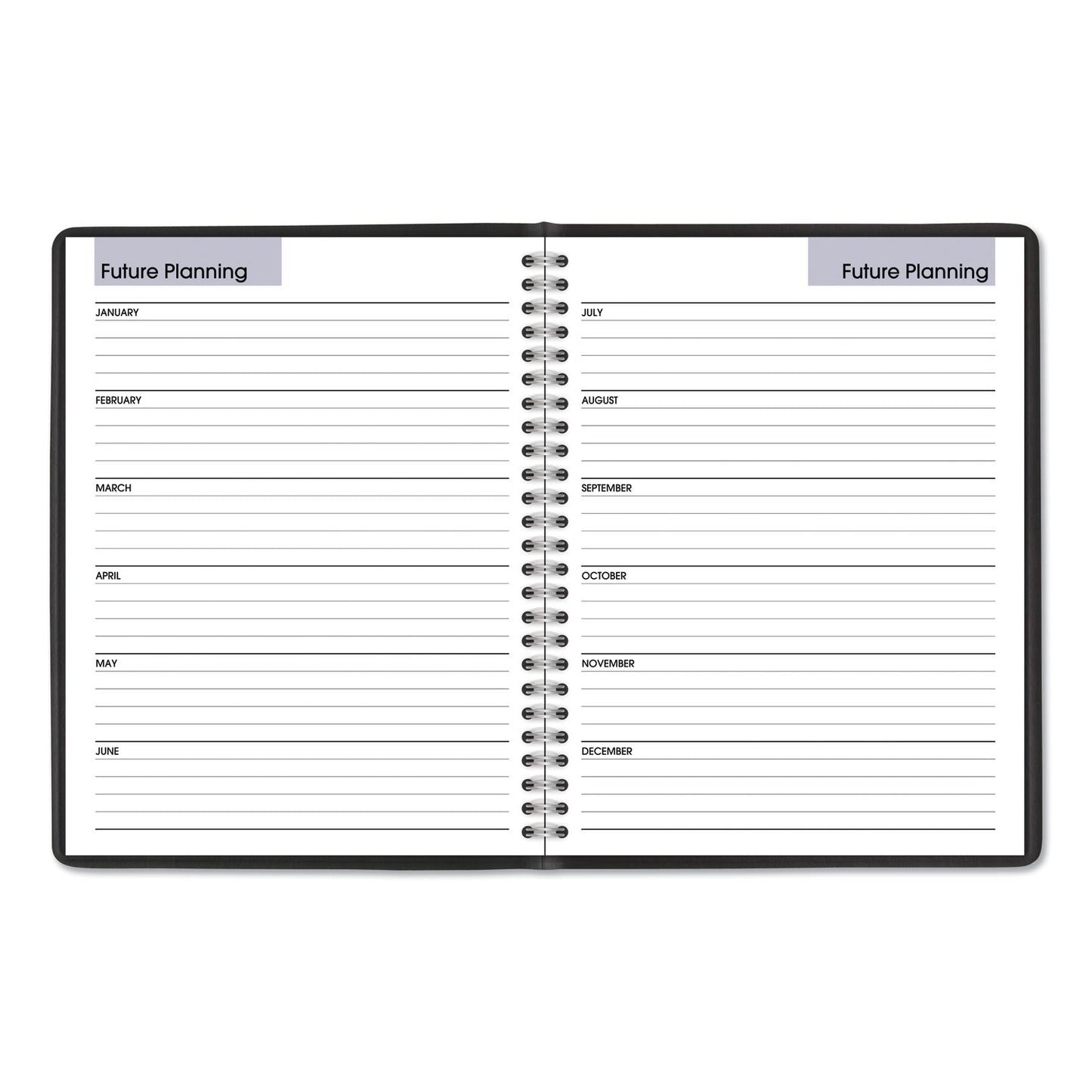 AT-A-GLANCE DayMinder Monthly Planner with Notes Column, Ruled Blocks, 8.75 x 7, Black Cover, 12-Month (Jan to Dec): 2025 (G40000)