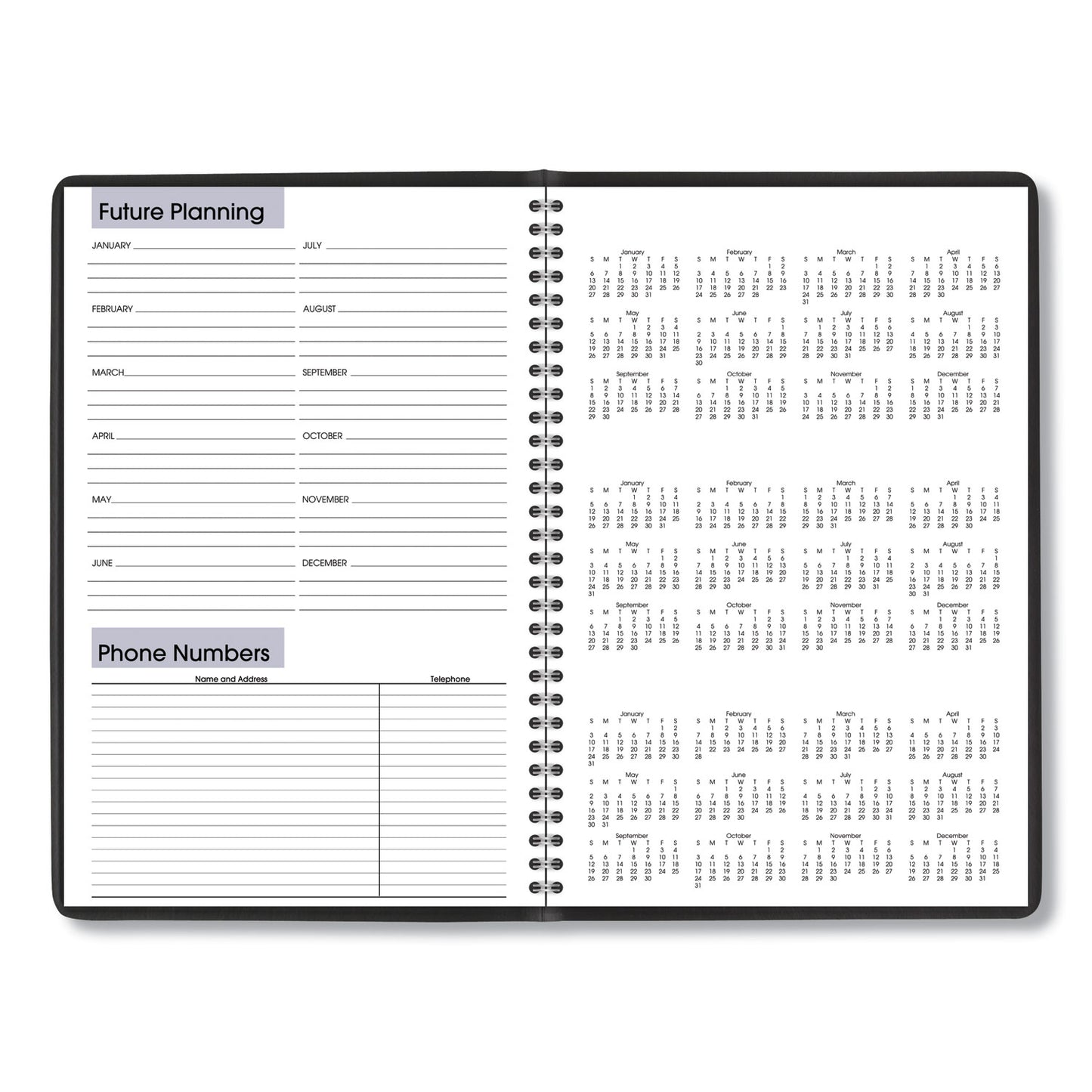 AT-A-GLANCE DayMinder Monthly Planner, Ruled Blocks, 12 x 8, Black Cover, 14-Month: Dec 2024 to Jan 2026 (G47000)