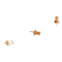 U Brands Fashion Push Pins, Wood, Assorted, 0.38", 100/Pack (3085U0624)