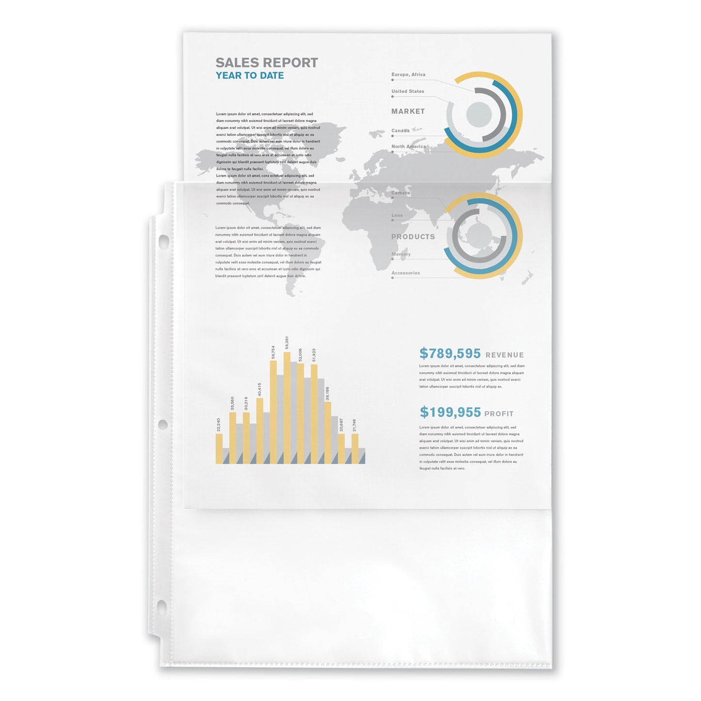 Avery Top-Load Sheet Protector, Economy Gauge, Letter, Clear, 100/Box (75091)