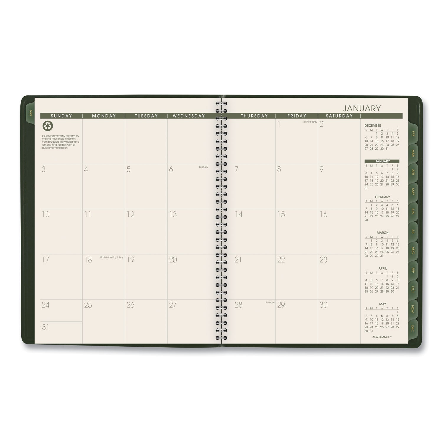 AT-A-GLANCE Recycled Weekly Vertical-Column Format Appointment Book, 11 x 8.25, Green Cover, 12-Month (Jan to Dec): 2025 (70950G60)