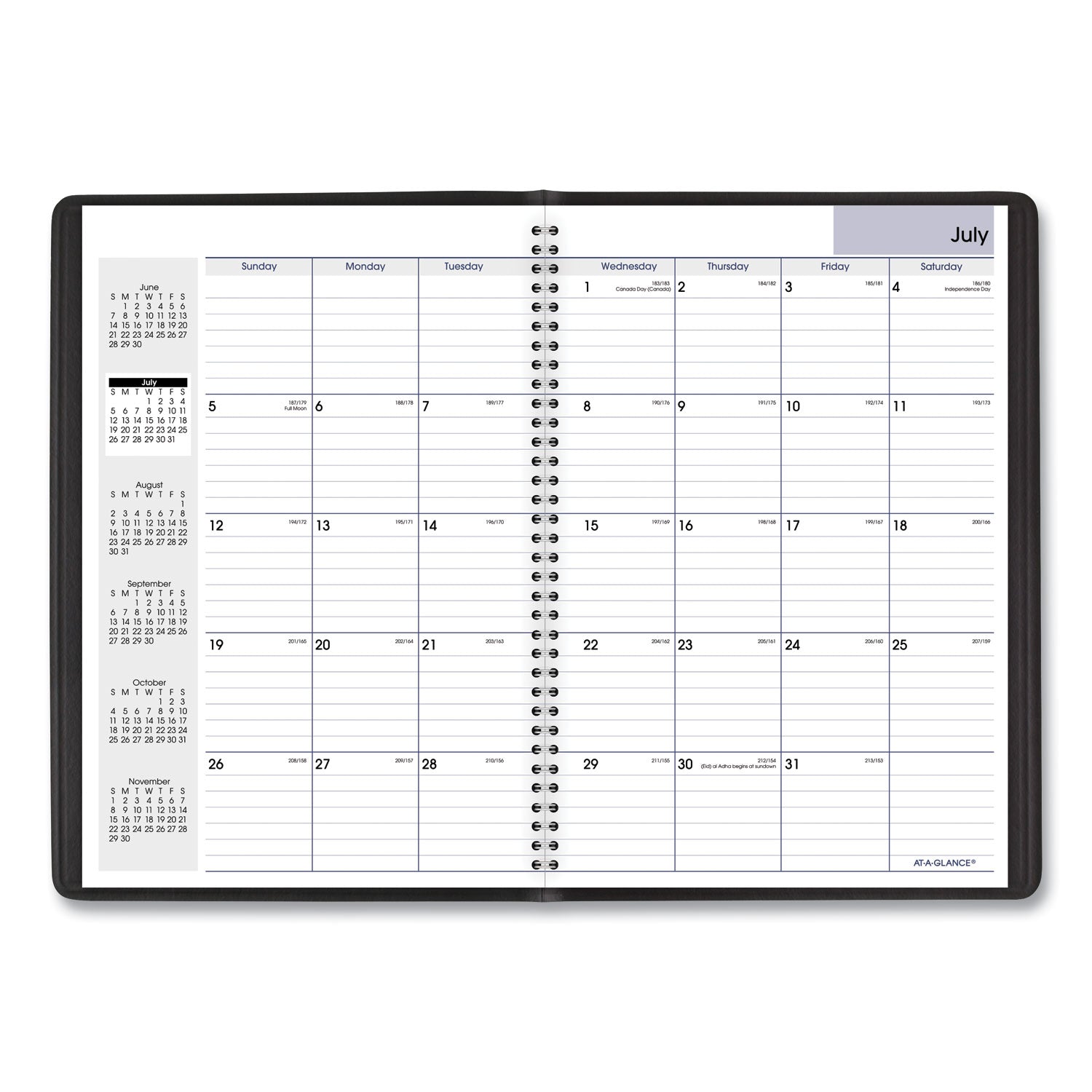 AT-A-GLANCE DayMinder Monthly Planner, Academic Year, Ruled Blocks, 12 x 8, Black Cover, 14-Month (July to Aug): 2024 to 2025 (AY200)