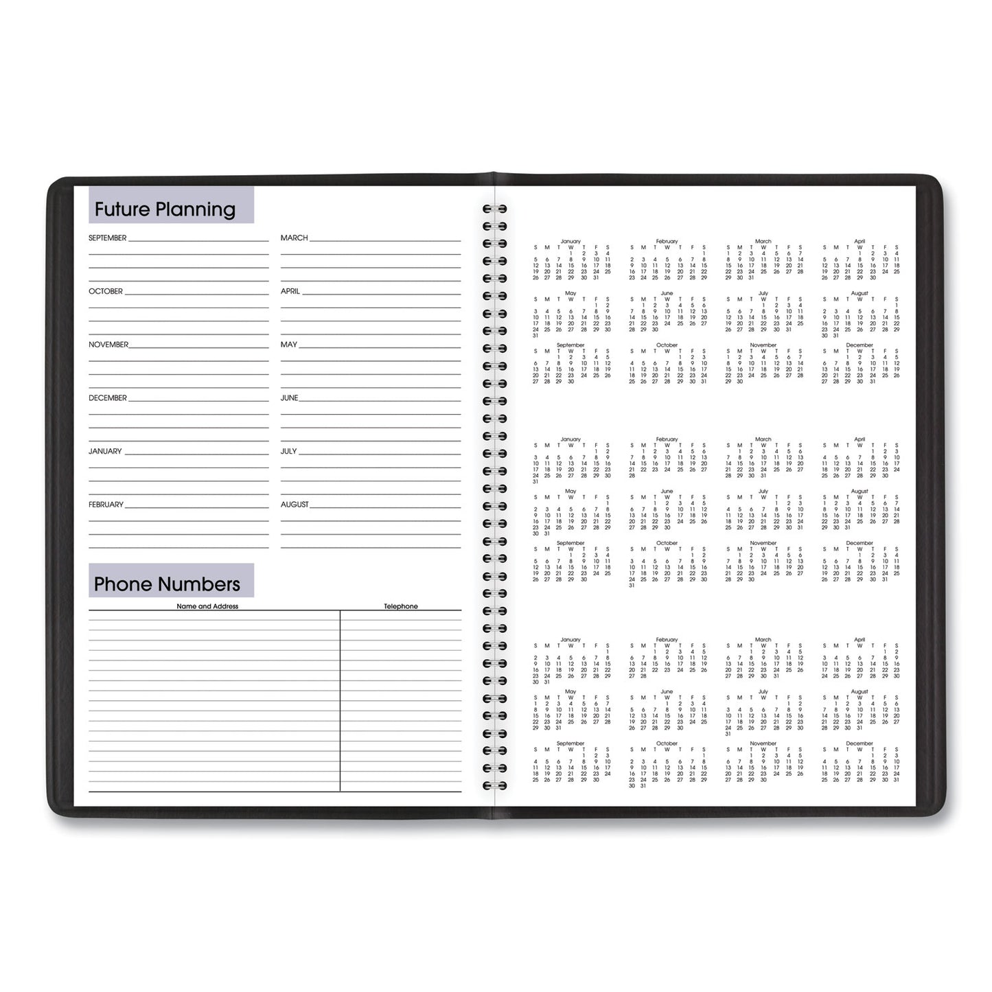 AT-A-GLANCE DayMinder Monthly Planner, Academic Year, Ruled Blocks, 12 x 8, Black Cover, 14-Month (July to Aug): 2024 to 2025 (AY200)