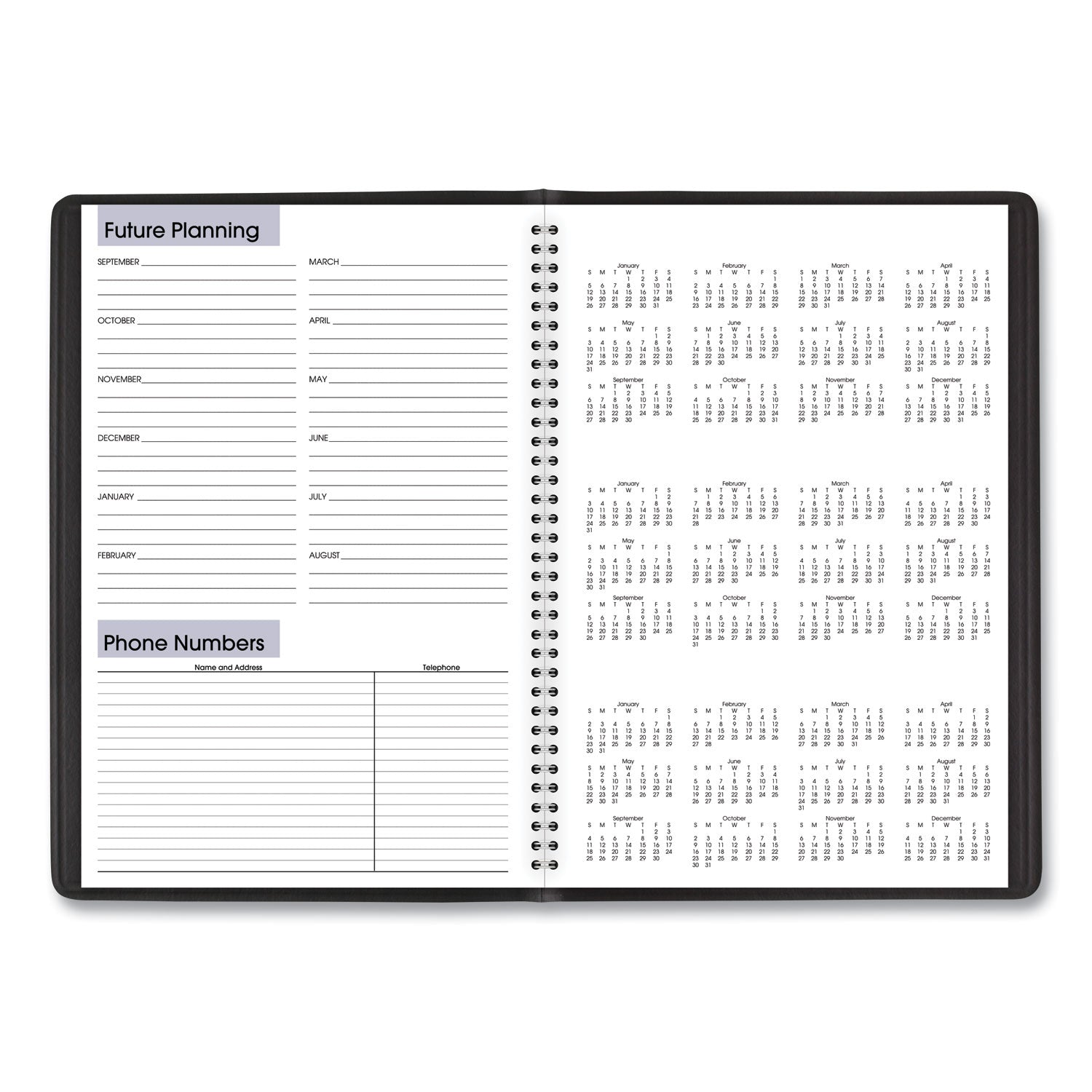 AT-A-GLANCE DayMinder Monthly Planner, Academic Year, Ruled Blocks, 12 x 8, Black Cover, 14-Month (July to Aug): 2024 to 2025 (AY200)