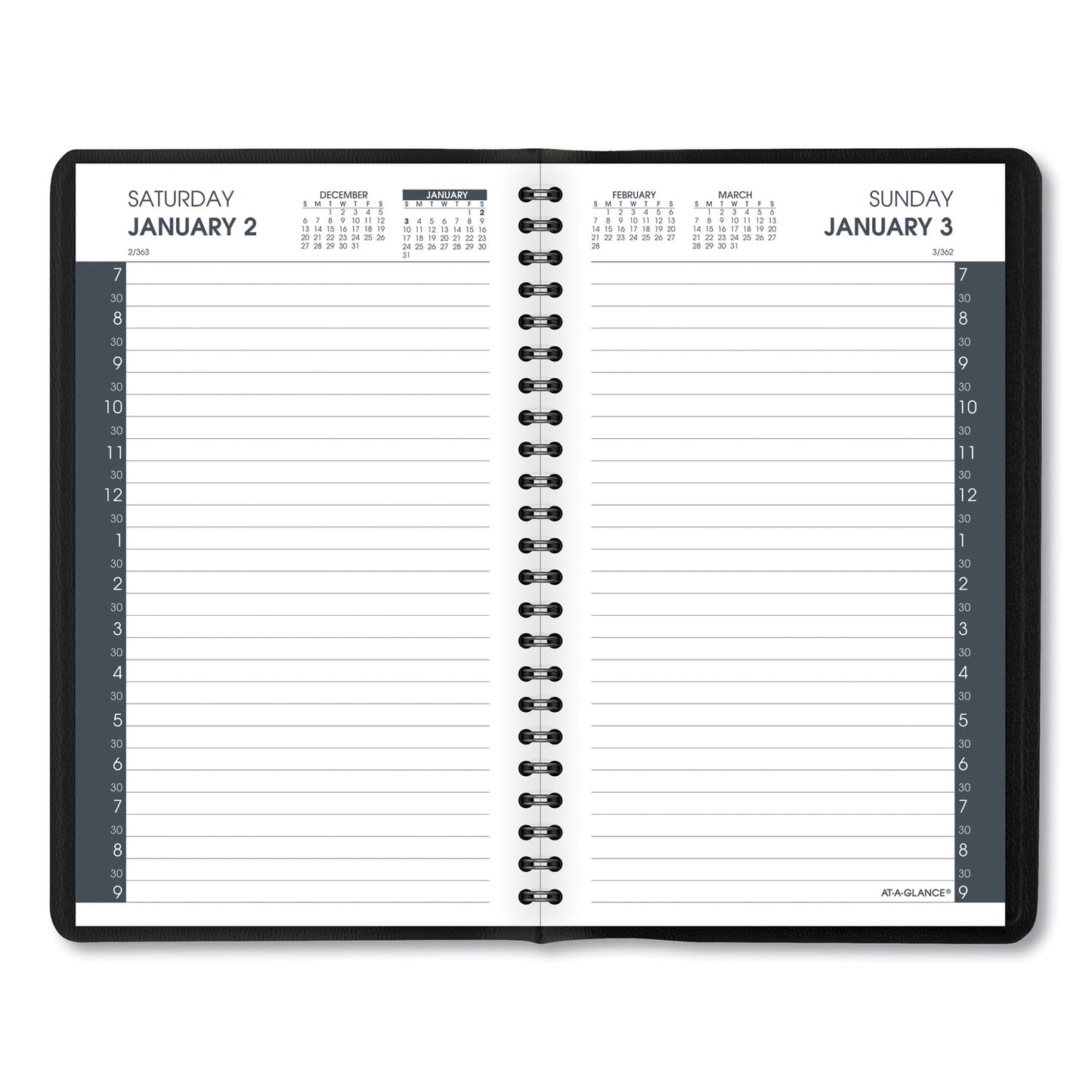 AT-A-GLANCE Daily Appointment Book with 30-Minute Appointments, 8 x 5, Black Cover, 12-Month (Jan to Dec): 2025 (7020705)