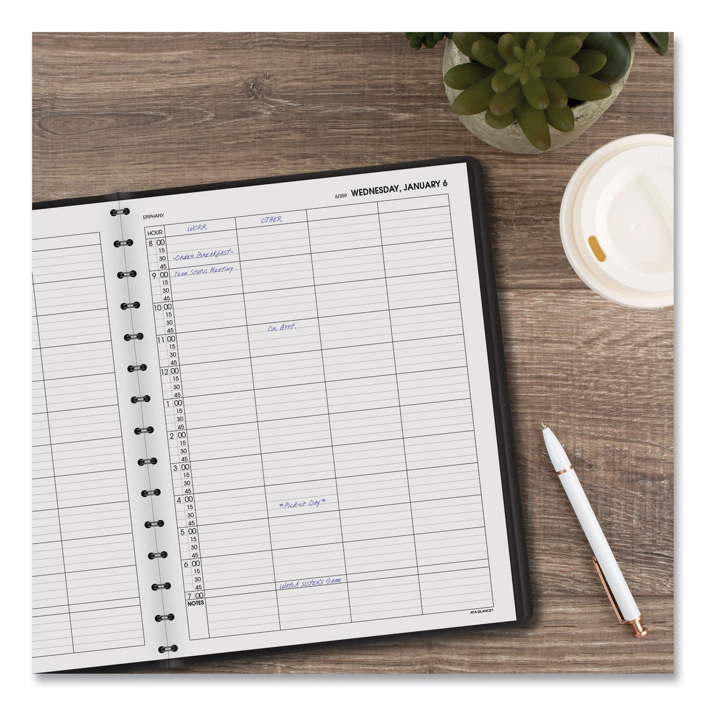 AT-A-GLANCE Four-Person Group Daily Appointment Book, 11 x 8, Black Cover, 12-Month (Jan to Dec): 2025 (7082205)