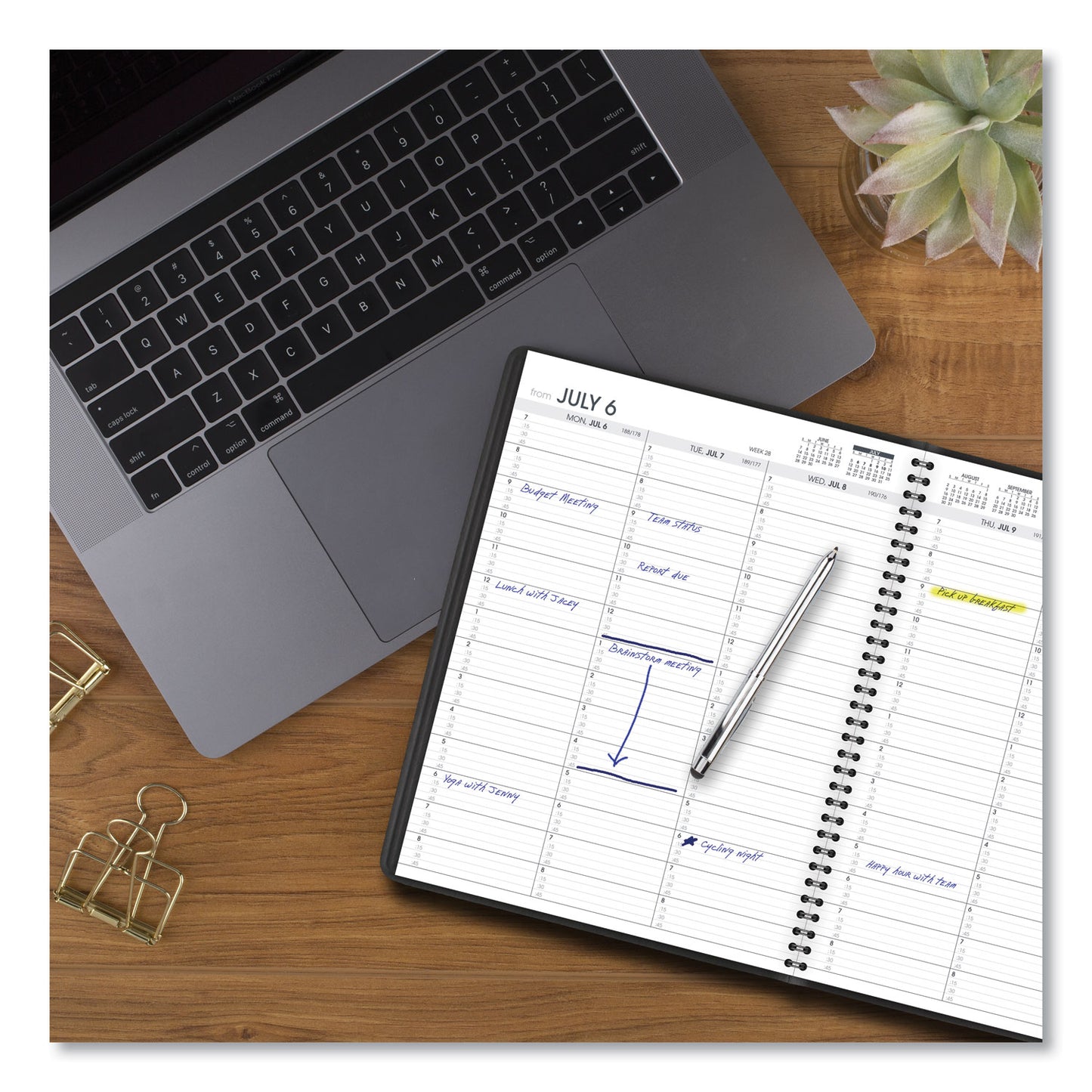 AT-A-GLANCE Weekly Appointment Book, 11 x 8.25, Black Cover, 14-Month (July to Aug): 2024 to 2025 (7095705)