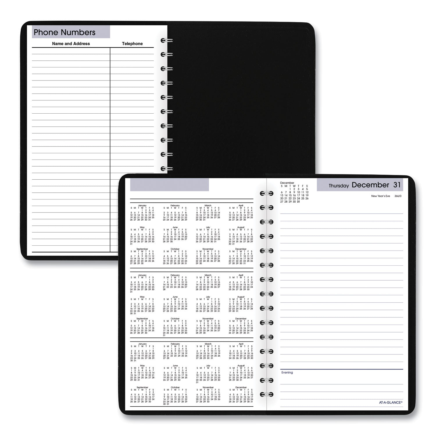 At-A-Glance Daily Planner, DayMinder (SK4600)