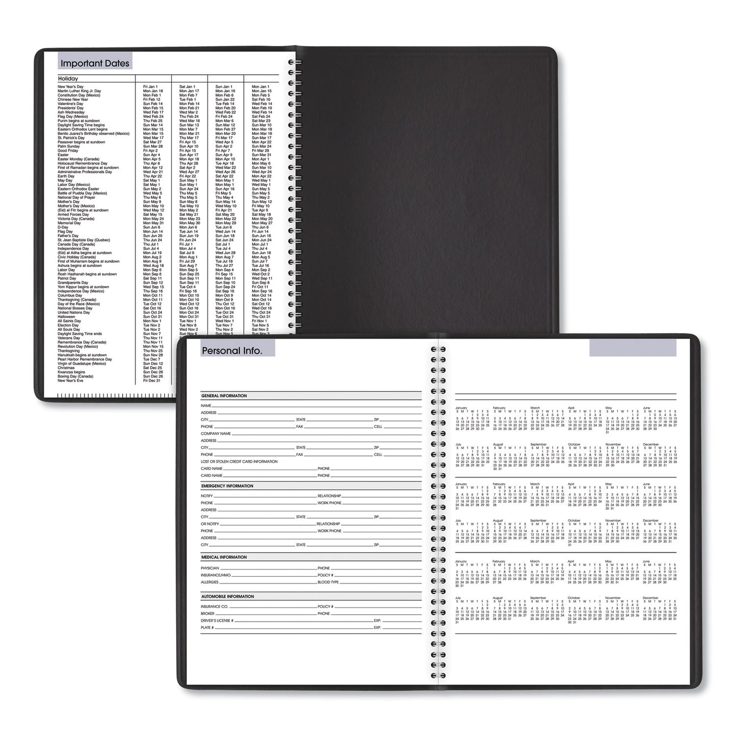 AT-A-GLANCE DayMinder Weekly Appointment Book, Vertical-Column Format, 11 x 8, Black Cover, 12-Month (Jan to Dec): 2025 (G52000)