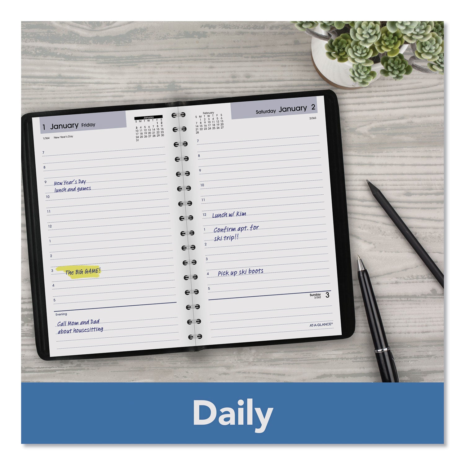 AT-A-GLANCE DayMinder Daily Appointment Book, 8 x 5, Black Cover, 12-Month (Jan to Dec): 2025 (SK4400)