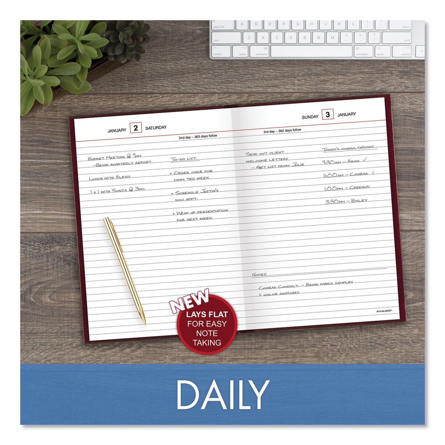 AT-A-GLANCE Standard Diary Daily Reminder Book, 2025 Edition, Medium/College Rule, Red Cover, (201) 8.25 x 5.75 Sheets (SD38913)