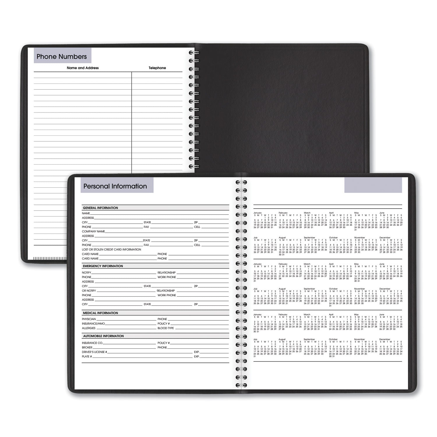 AT-A-GLANCE DayMinder Weekly Planner, Vertical-Column Format, 8.75 x 7, Black Cover, 12-Month (Jan to Dec): 2025 (G59000)