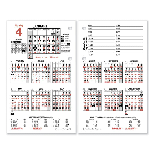 AT-A-GLANCE Burkhart's Day Counter Desk Calendar Refill, 4.5 x 7.38, White Sheets, 12-Month (Jan to Dec): 2025 (E71250)