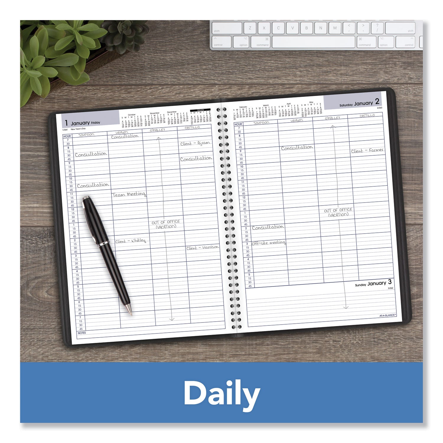 AT-A-GLANCE DayMinder Four-Person Group Daily Appointment Book, 11 x 8, Black Cover, 12-Month (Jan to Dec): 2025 (G56000)