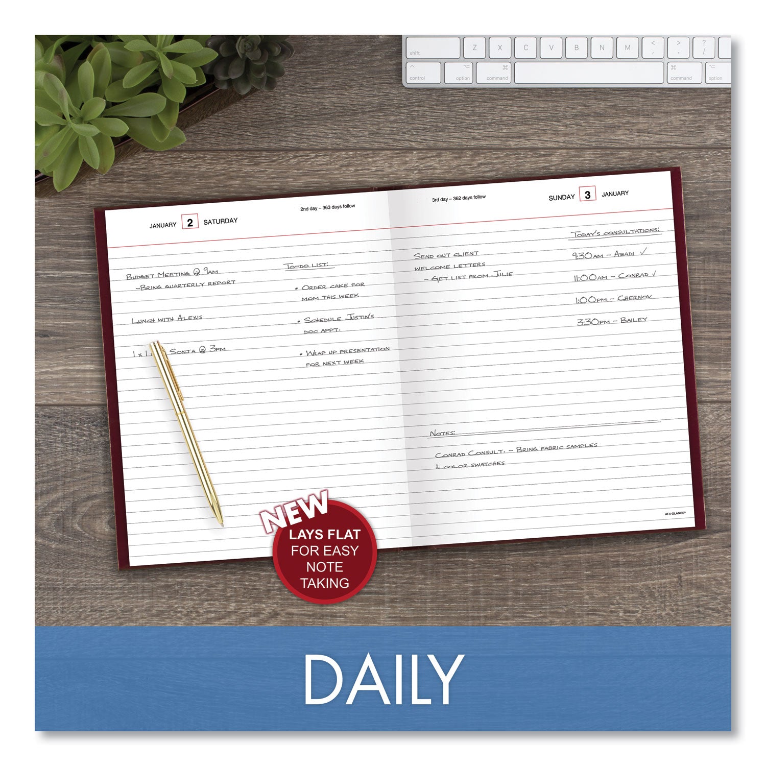 AT-A-GLANCE Standard Diary Daily Diary, 2025 Edition, Medium/College Rule, Red Cover, (200) 9.5 x 7.5 Sheets (SD37413)