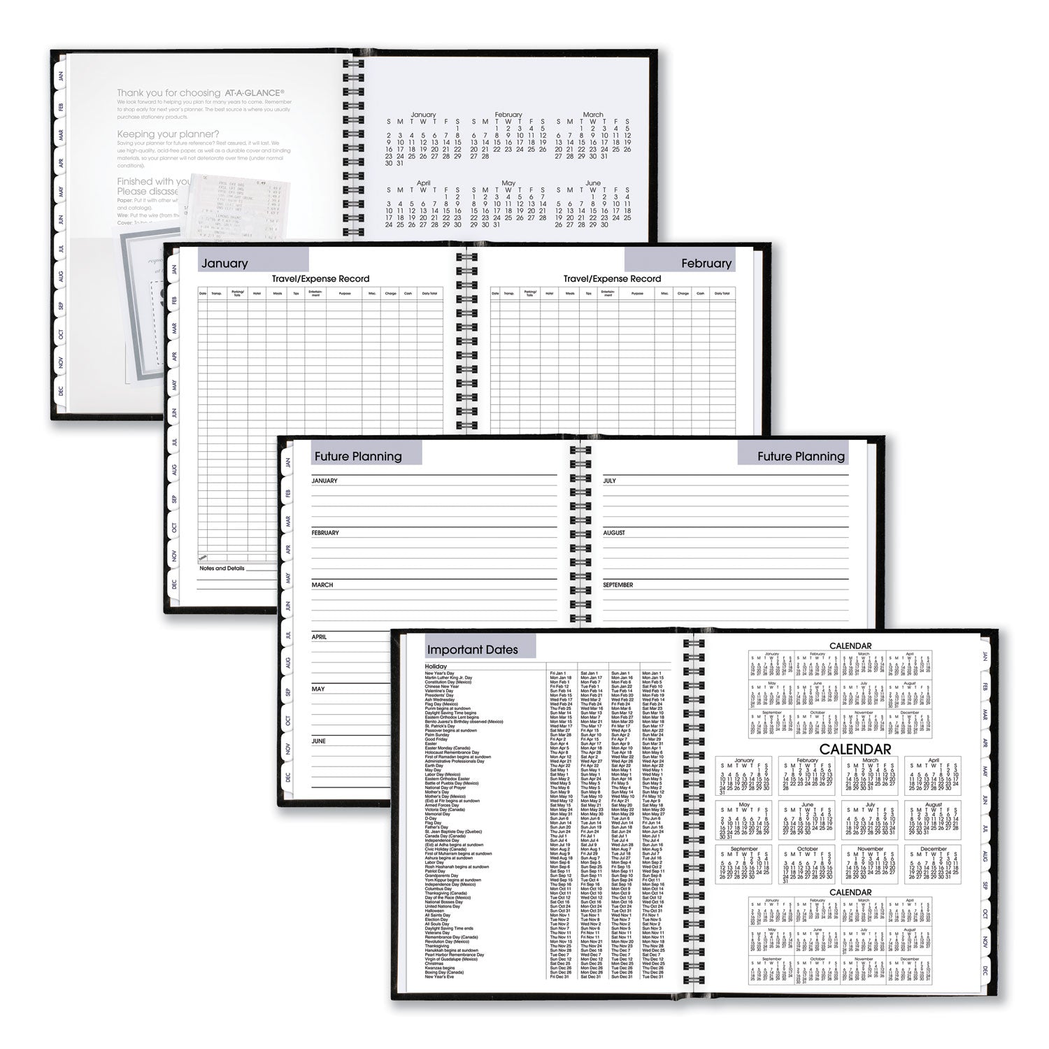 AT-A-GLANCE DayMinder Hard-Cover Monthly Planner with Memo Section, Unruled Blocks, 8.5 x 7, Black Cover, 12-Month (Jan to Dec): 2025 (G400H00)