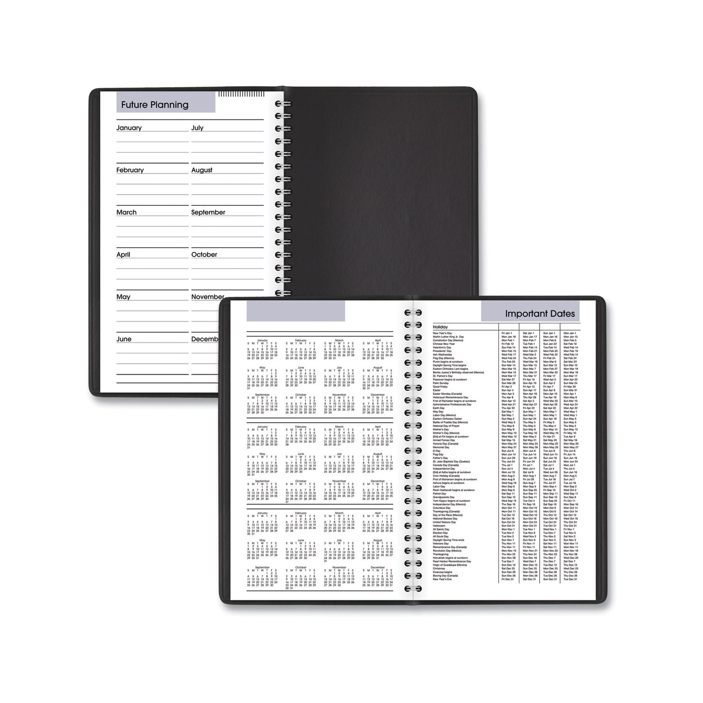 AT-A-GLANCE DayMinder Daily Appointment Book, 8.5 x 5.5, Black Cover, 12-Month (Jan to Dec): 2025 (G10000)