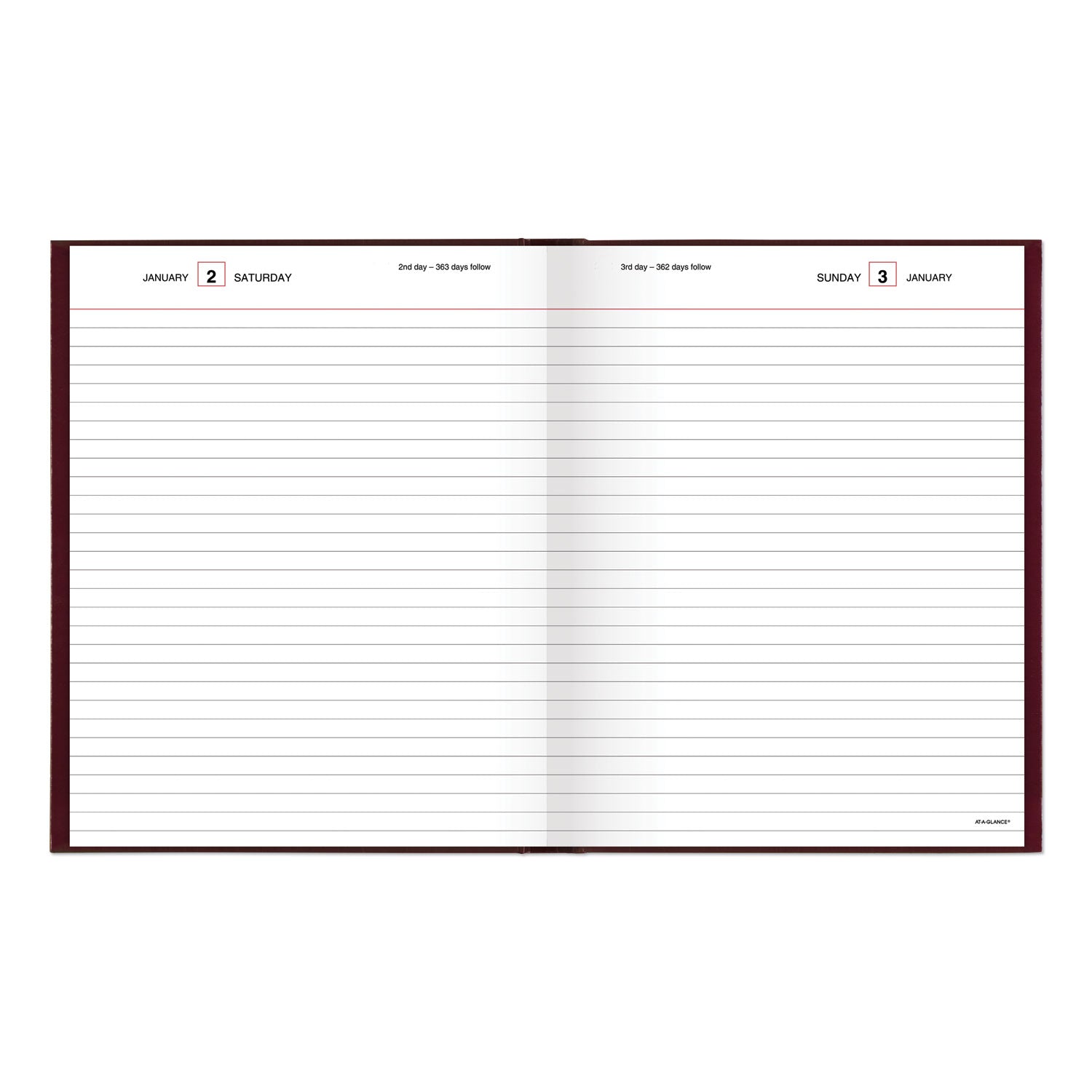 AT-A-GLANCE Standard Diary Daily Diary, 2025 Edition, Medium/College Rule, Red Cover, (200) 9.5 x 7.5 Sheets (SD37413)