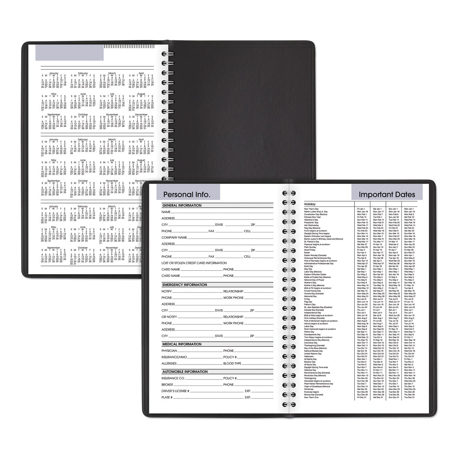 AT-A-GLANCE DayMinder Block Format Weekly Appointment Book, 8.5 x 5.5, Black Cover, 12-Month (Jan to Dec): 2025 (G20000)