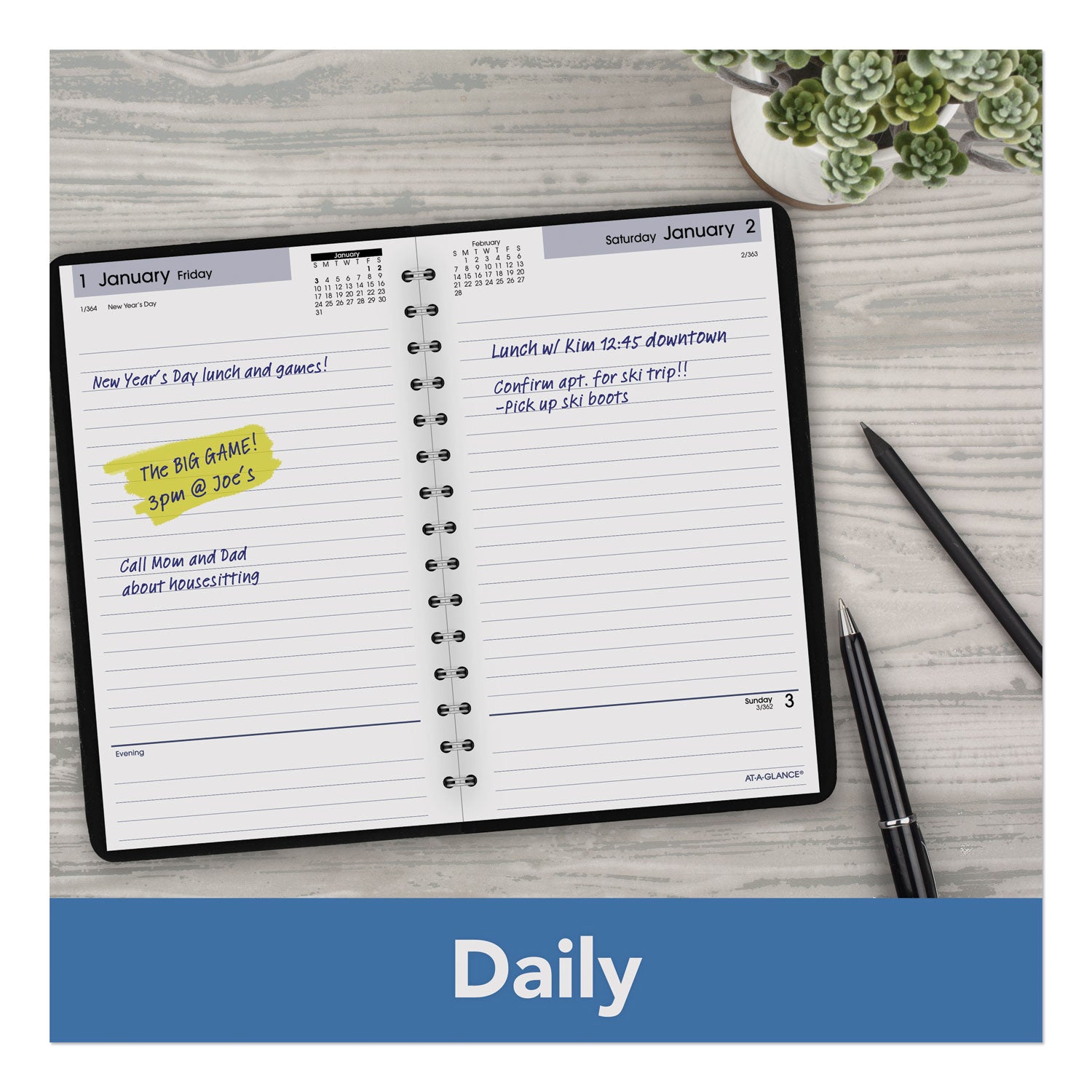 At-A-Glance Daily Planner, DayMinder (SK4600)