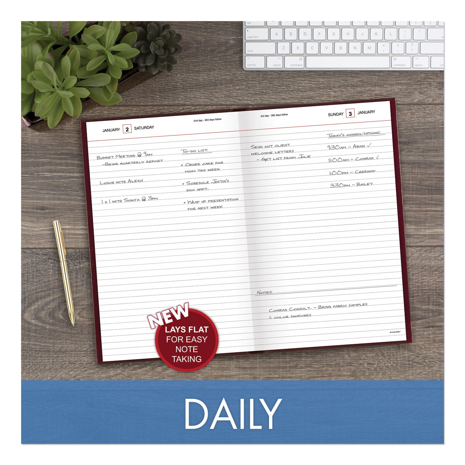 AT-A-GLANCE Standard Diary Daily Diary, 2025 Edition, Wide/Legal Rule, Red Cover, (200) 12 x 7.75 Sheets (SD37613)