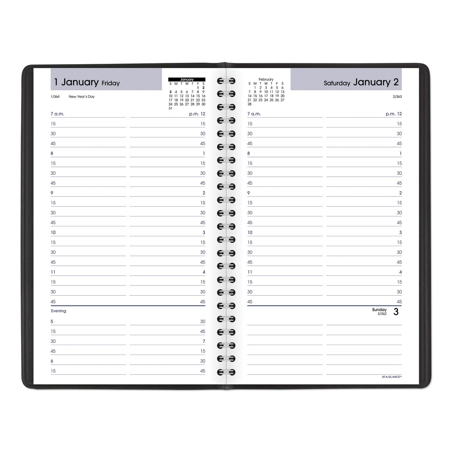 AT-A-GLANCE DayMinder Daily Appointment Book, 8.5 x 5.5, Black Cover, 12-Month (Jan to Dec): 2025 (G10000)