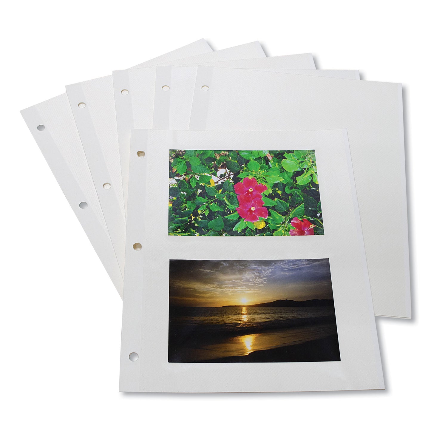 C-Line Redi-Mount Photo-Mounting Sheets, 11 x 9, 50/Box (85050)