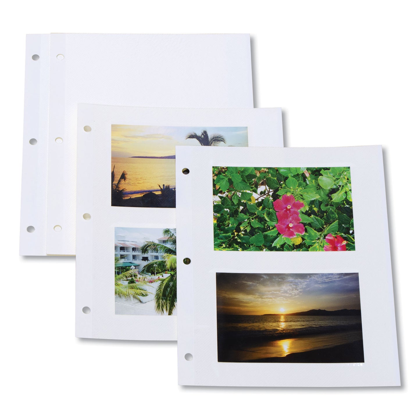 C-Line Redi-Mount Photo-Mounting Sheets, 11 x 9, 50/Box (85050)