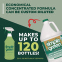 simple green Industrial Cleaner and Degreaser, Concentrated, 1 gal Bottle (13005EA)