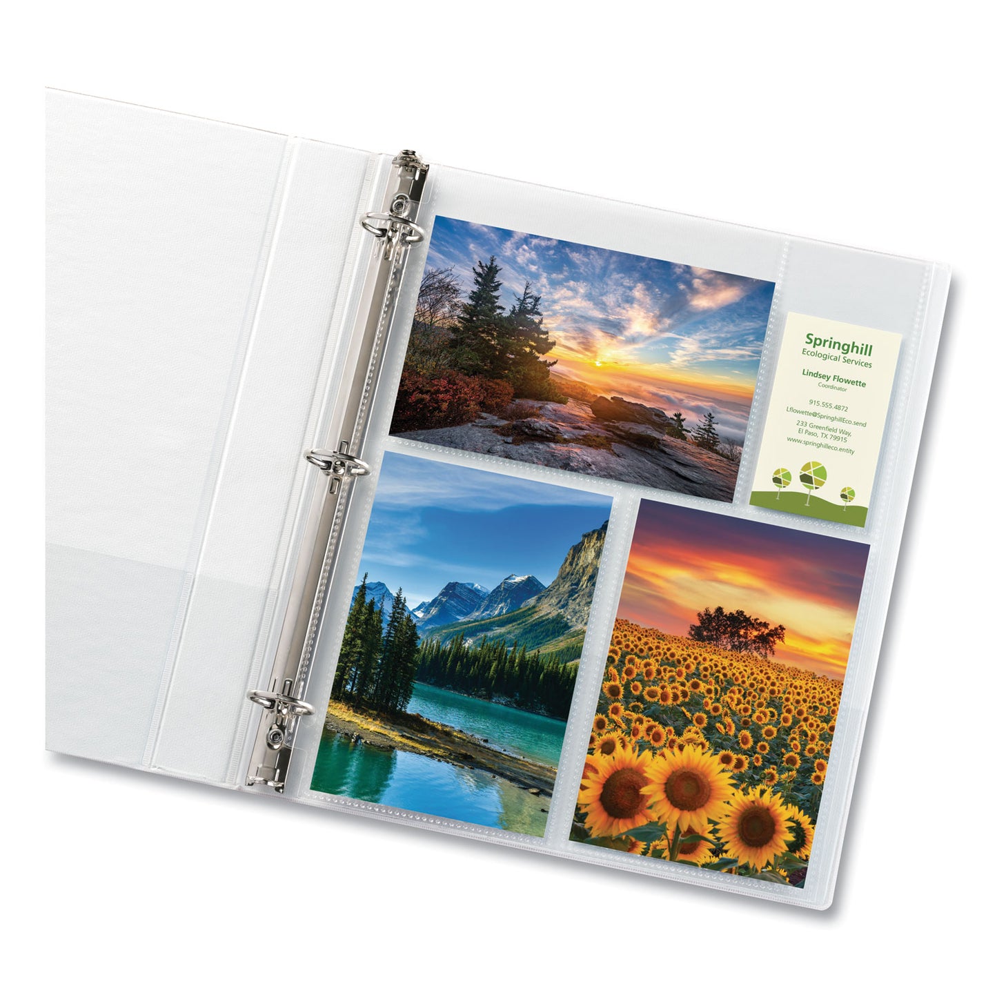 Avery Photo Storage Pages for Six 4 x 6 Mixed Format Photos, 3-Hole Punched, 10/Pack (13401)