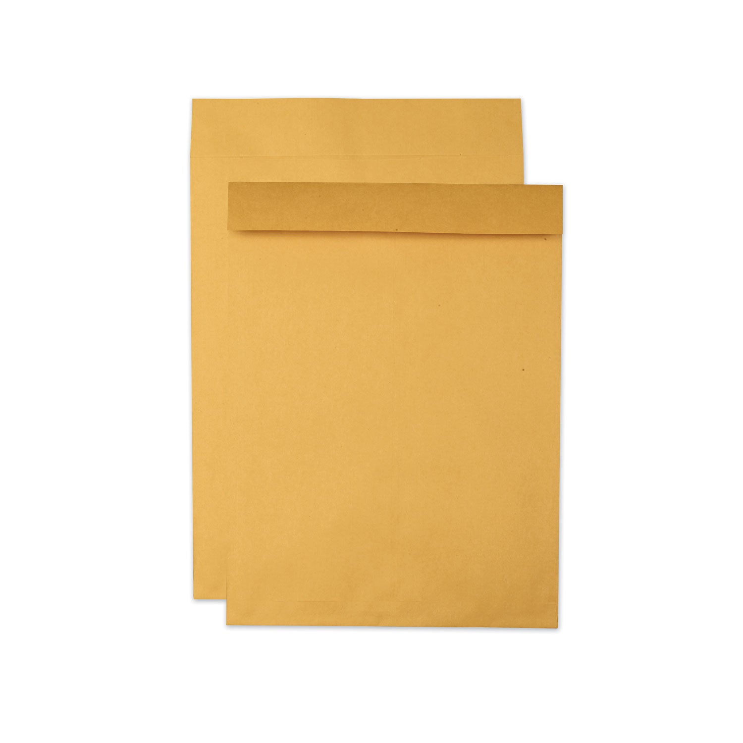 Quality Park Jumbo Size Kraft Envelope, Cheese Blade Flap, Fold-Over Closure, 15 x 20, Brown Kraft, 25/Pack (42355)