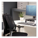 Fellowes Office Suites Mesh Back Support, 17.3 x 5.56 x 20.18, Black (9191301)