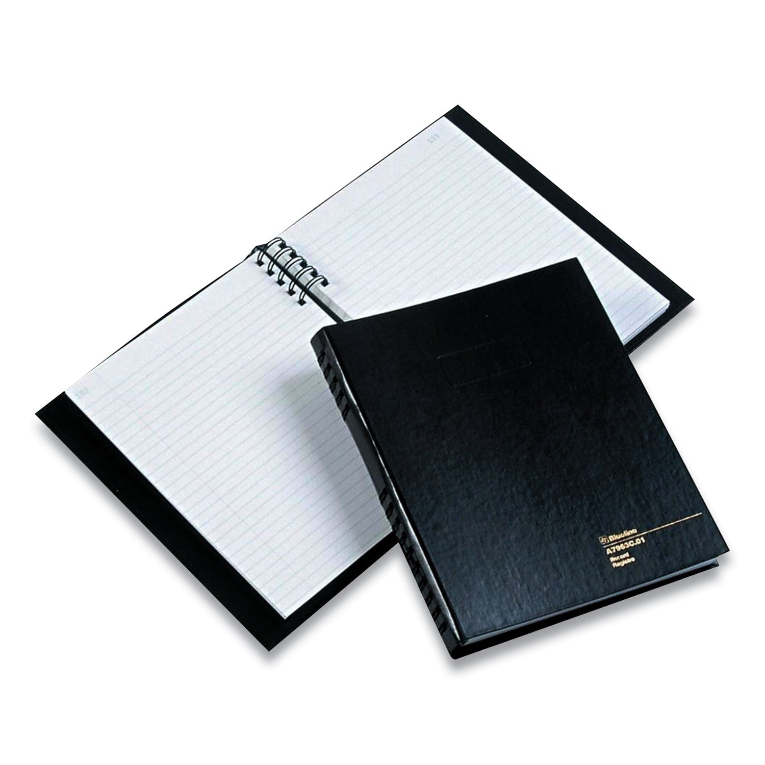 Blueline AccountPro Records Register Book, Black Cover, 9.5 x 6 Sheets, 300 Sheets/Book (A7963C01)