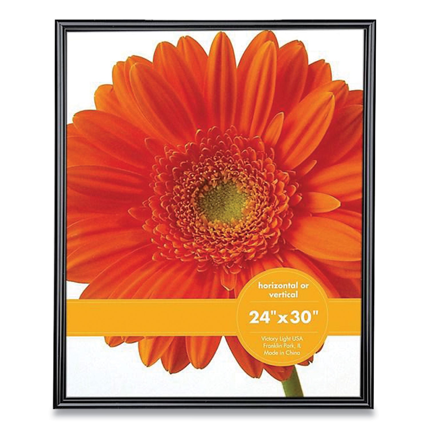 Victory Light Plastic Poster Frame, 24 x 30 Insert, Black (VF0023B2430)