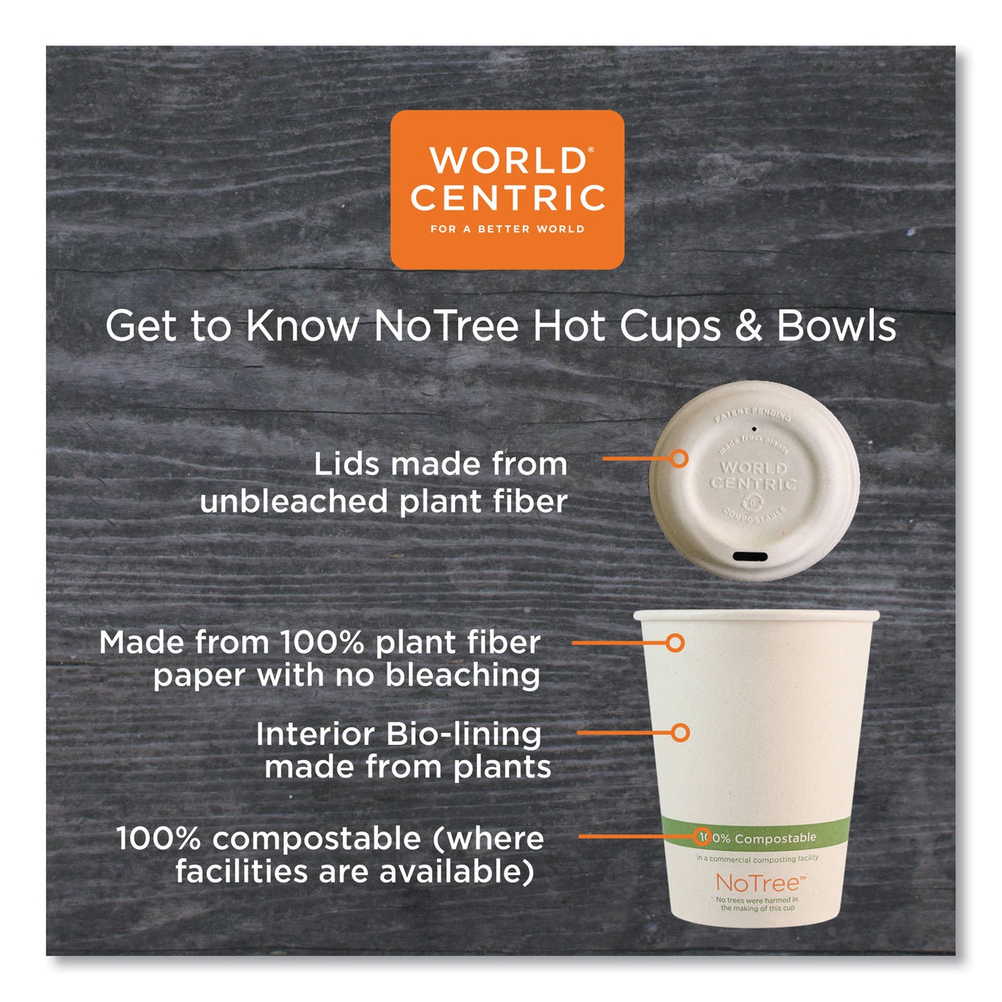 World Centric NoTree Paper Hot Cups, 4 oz, Natural, 1,000/Carton (CUSU4)