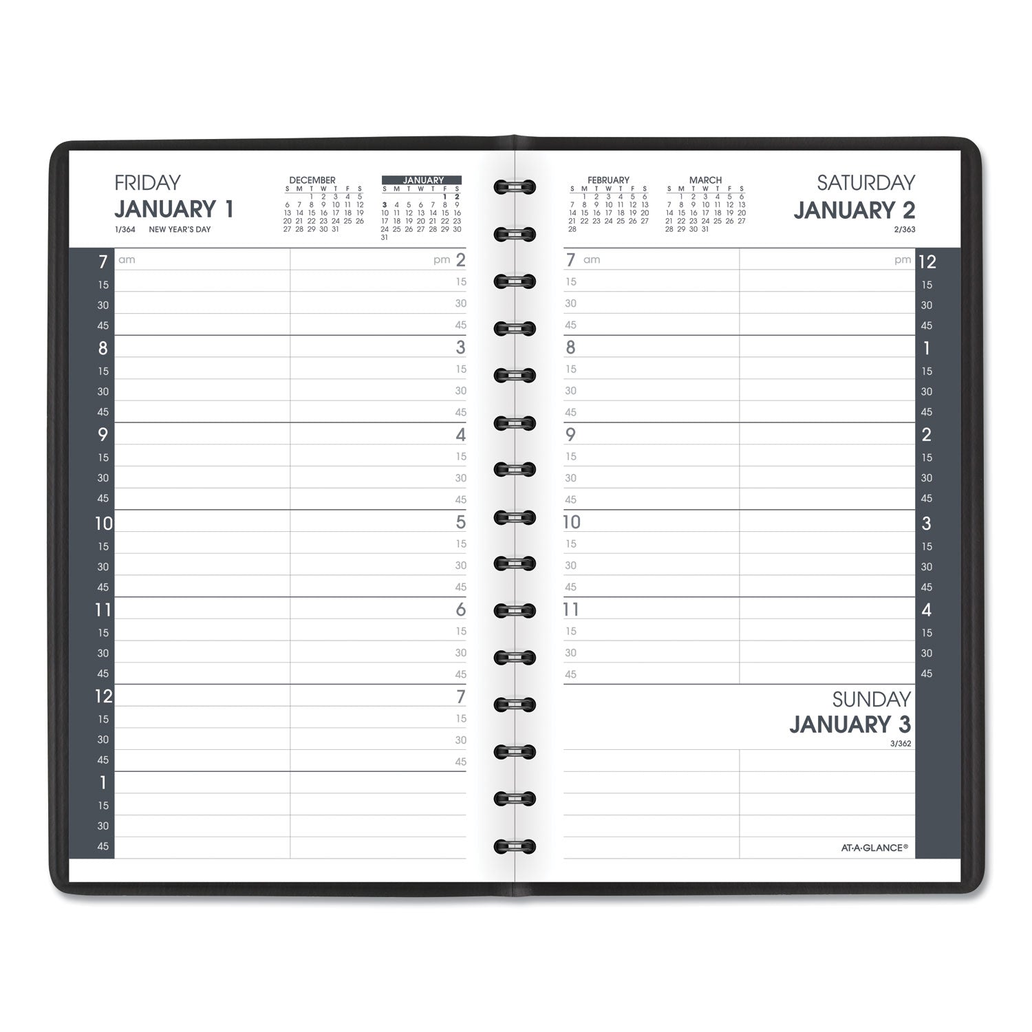 AT-A-GLANCE Daily Appointment Book with 15-Minute Appointments, One Day/Page: Mon to Sun, 8 x 5, Black Cover, 12-Month (Jan to Dec): 2025 (7080005)