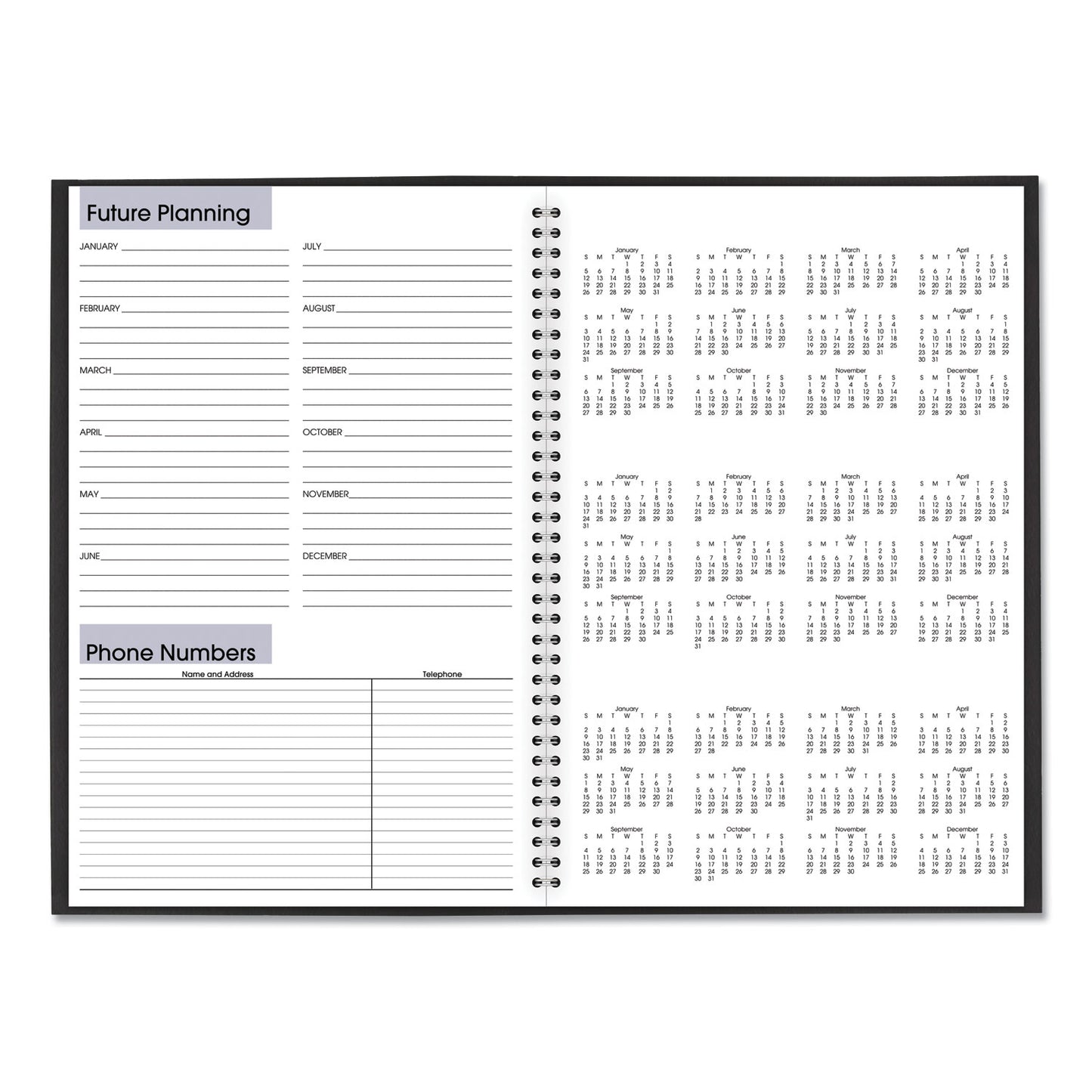 AT-A-GLANCE DayMinder Monthly Planner, Ruled Blocks, 12 x 8, Black Cover, 14-Month: Dec 2024 to Jan 2026 (SK200)