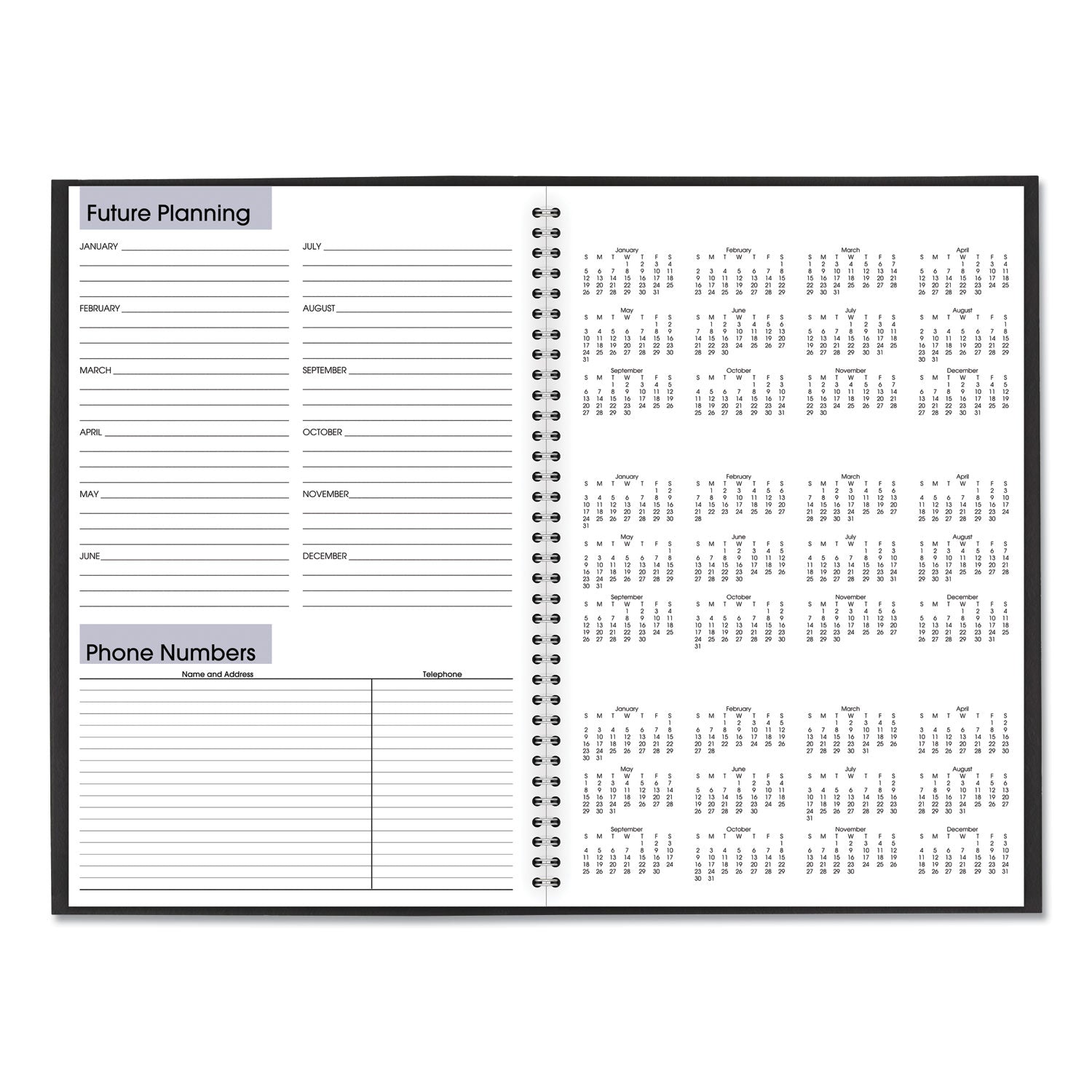 AT-A-GLANCE DayMinder Monthly Planner, Ruled Blocks, 12 x 8, Black Cover, 14-Month: Dec 2024 to Jan 2026 (SK200)