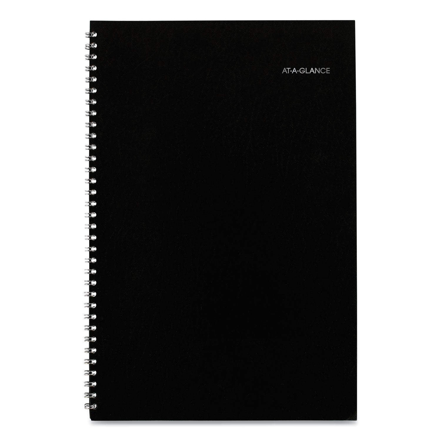 AT-A-GLANCE DayMinder Monthly Planner, Ruled Blocks, 12 x 8, Black Cover, 14-Month: Dec 2024 to Jan 2026 (SK200)