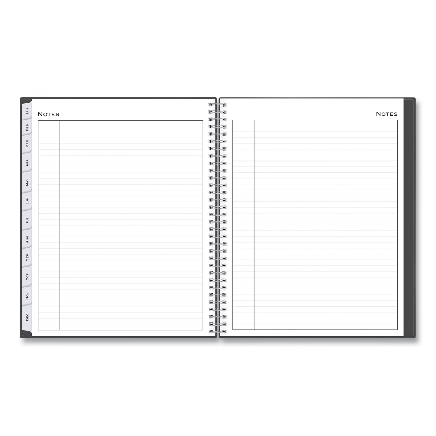 Blue Sky Passages Appointment Planner, 11 x 8.5, Charcoal Cover, 12-Month (Jan to Dec): 2025 (100009)
